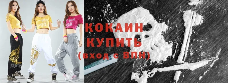 Cocaine Fish Scale  где можно купить   omg ONION  Петровск 